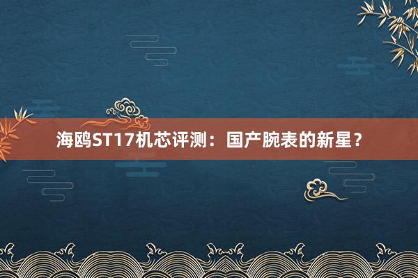 海鸥ST17机芯评测：国产腕表的新星？